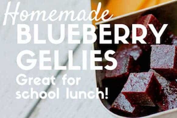 Homemade Blueberry Gellies